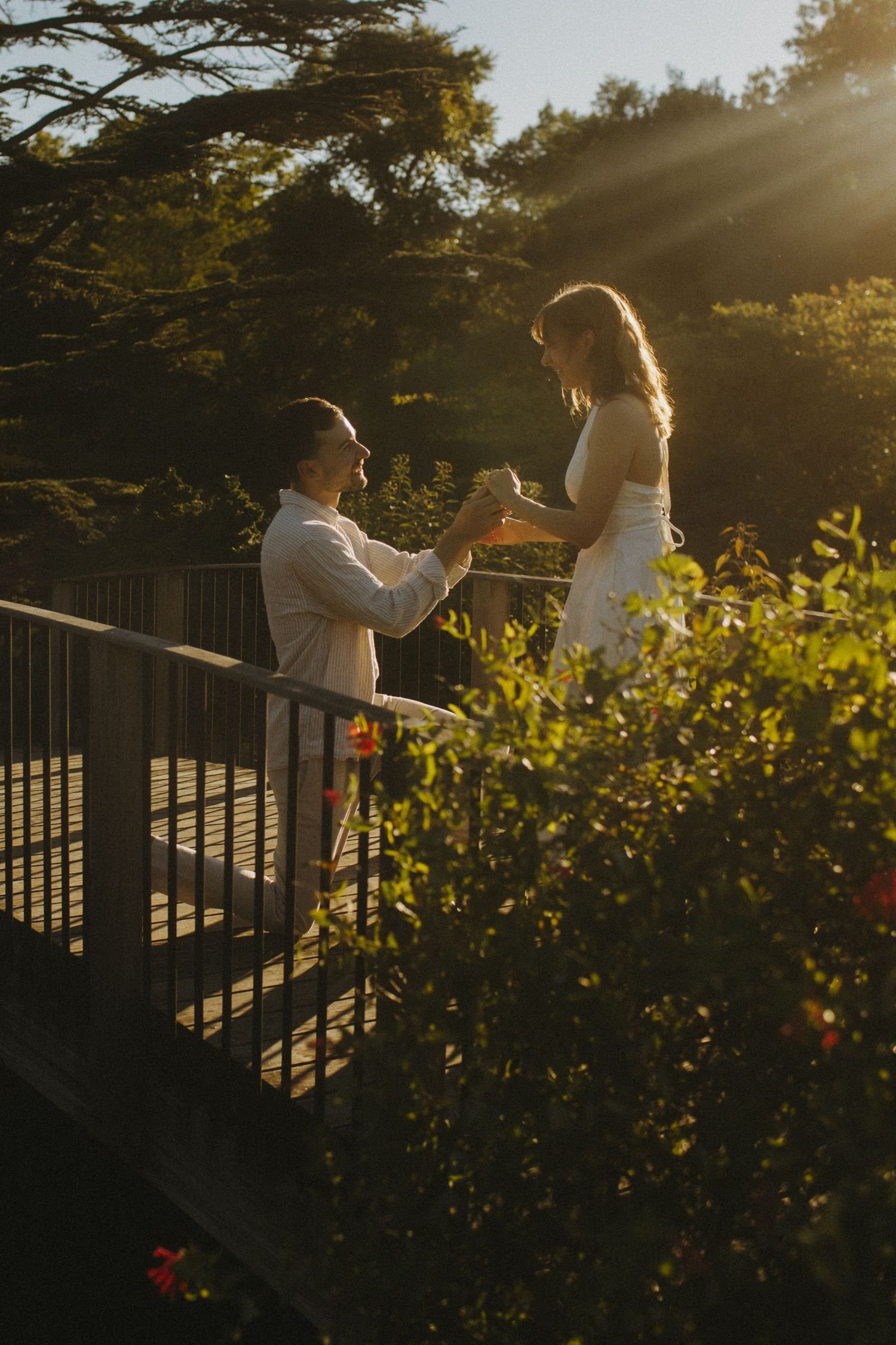 A heartfelt marriage proposal outdoors